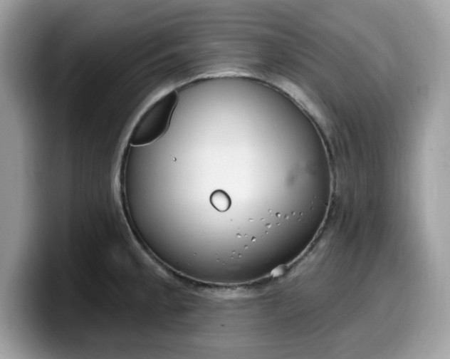 X0000099581189200805301553