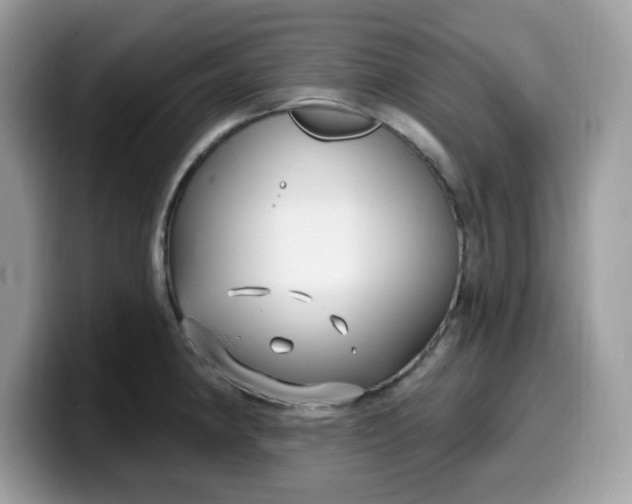 X0000099581190200805301553