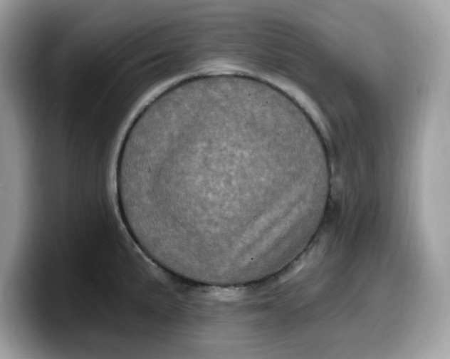 X0000099581191200805301553