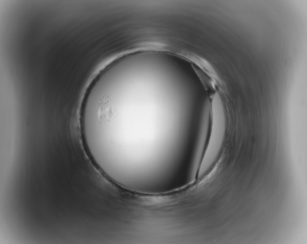 X0000099581192200805301553