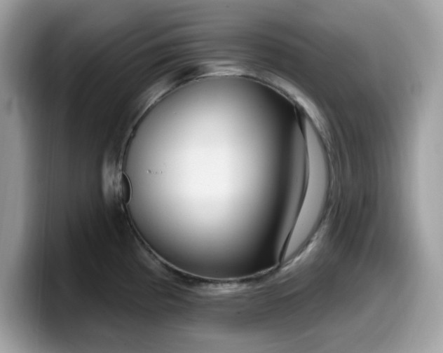 X0000099581193200805301553