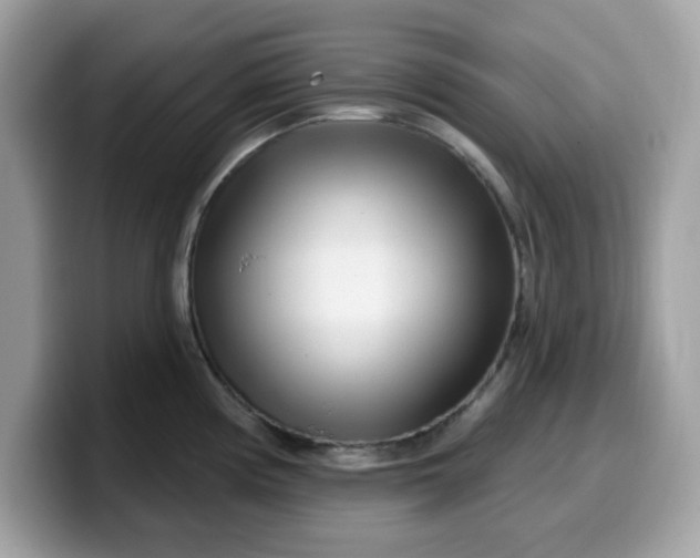 X0000099581194200805301553