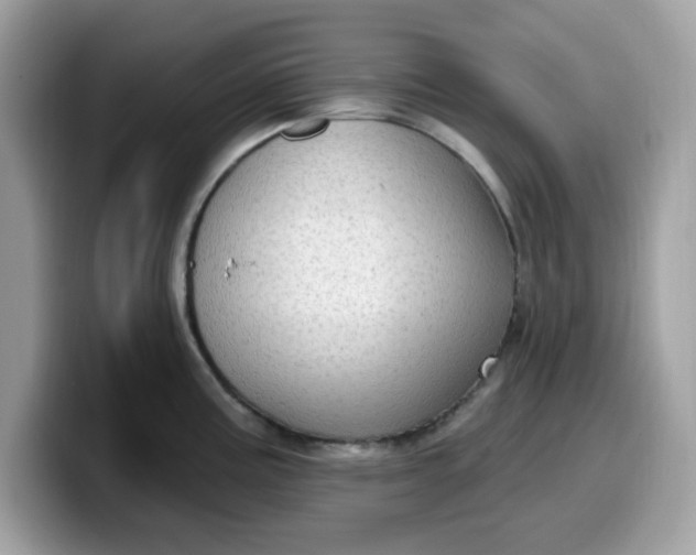 X0000099581195200805301553