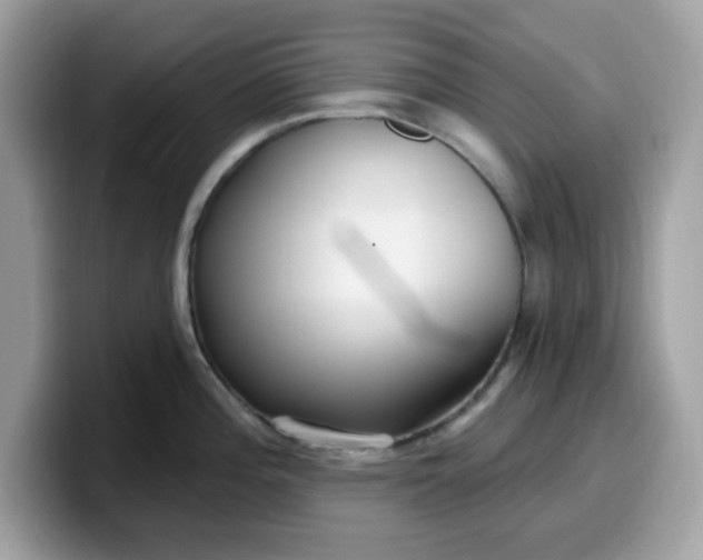 X0000099581196200805301553