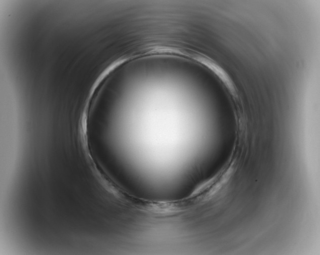 X0000099581198200805301553