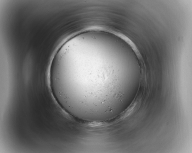 X0000099581199200805301553