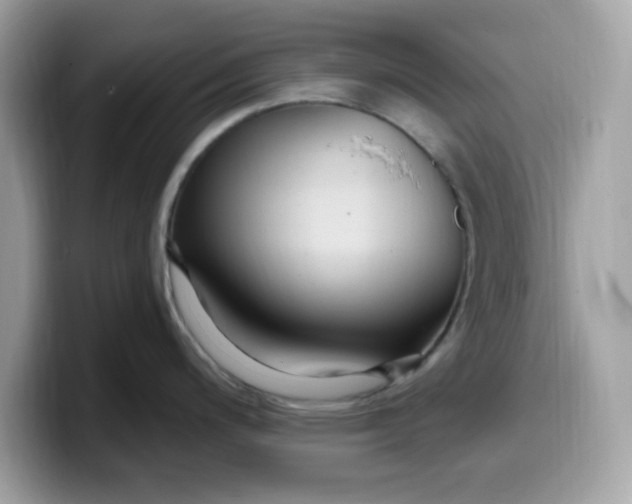 X0000099581200200805301553