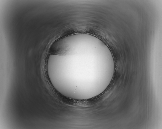 X0000099581201200805301553