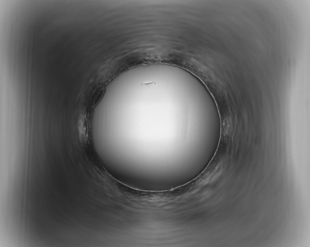 X0000099581202200805301553