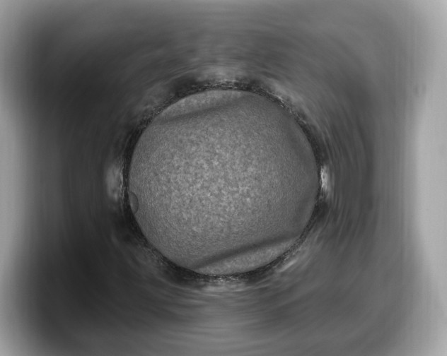 X0000099581203200805301553