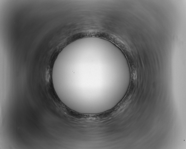 X0000099581204200805301553