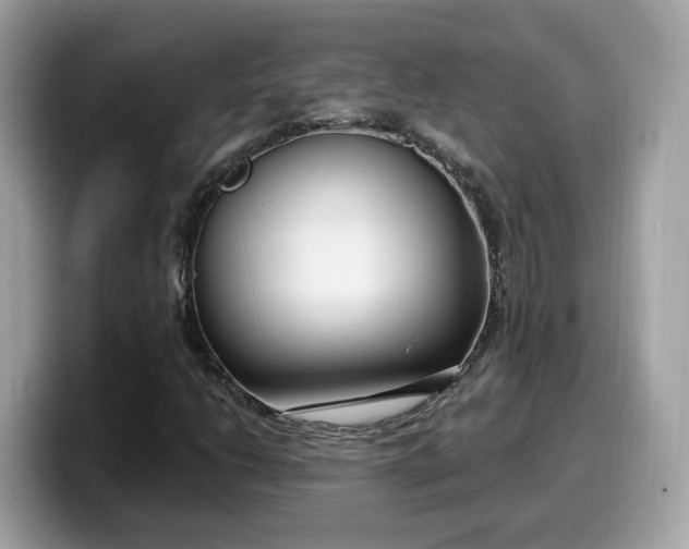 X0000099581206200805301553