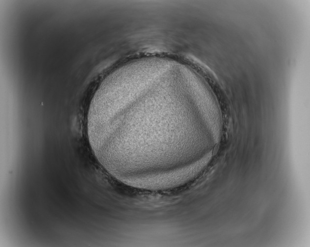 X0000099581207200805301553