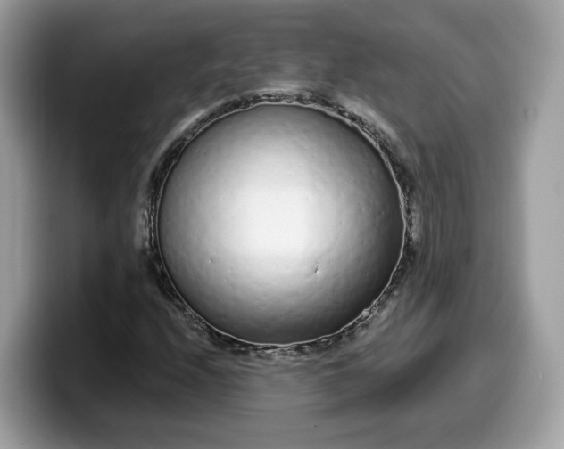 X0000099581208200805301553