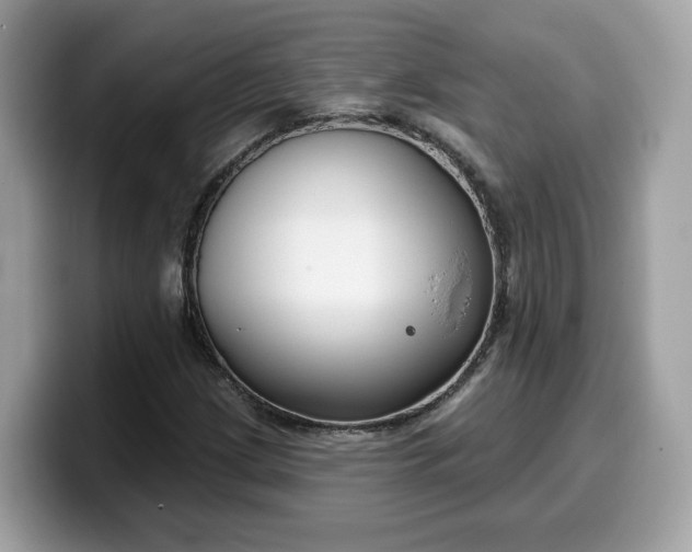 X0000099581209200805301553