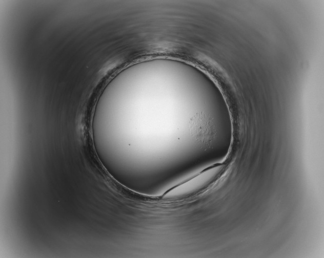 X0000099581210200805301553