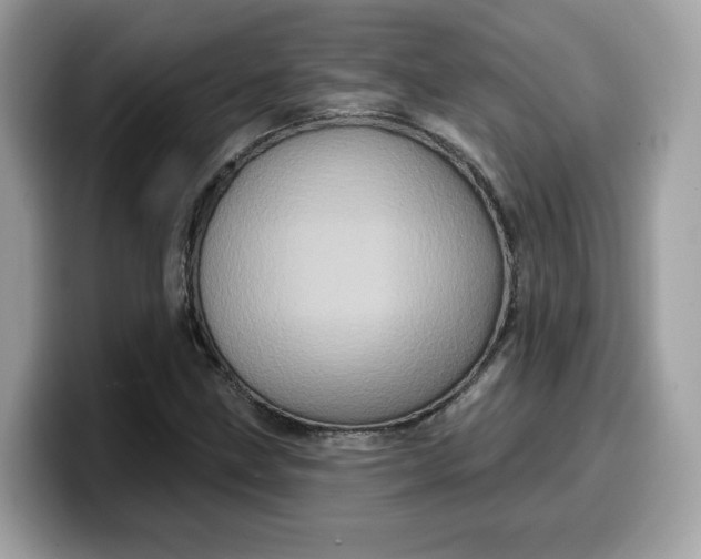 X0000099581211200805301553