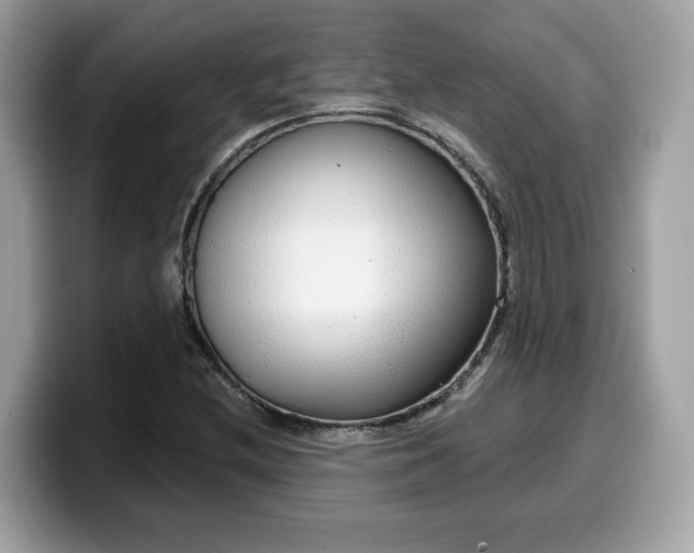 X0000099581212200805301553