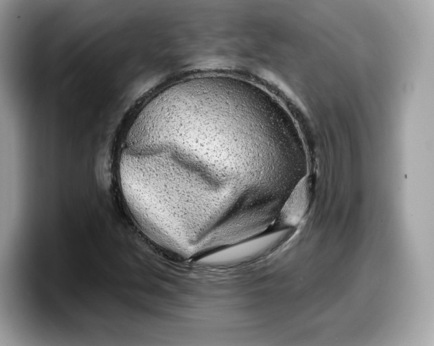 X0000099581213200805301553