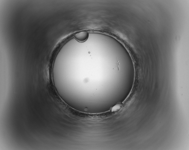 X0000099581214200805301553