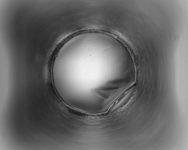 X0000099581215200805301553