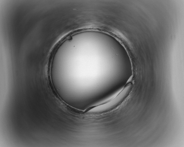 X0000099581216200805301553