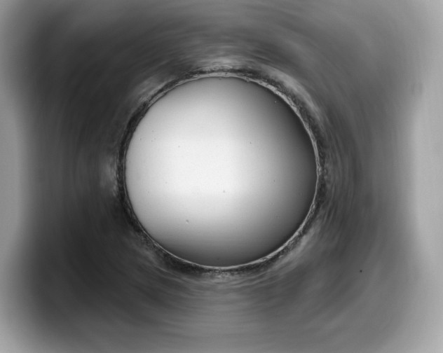 X0000099581217200805301553