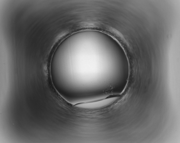 X0000099581218200805301553