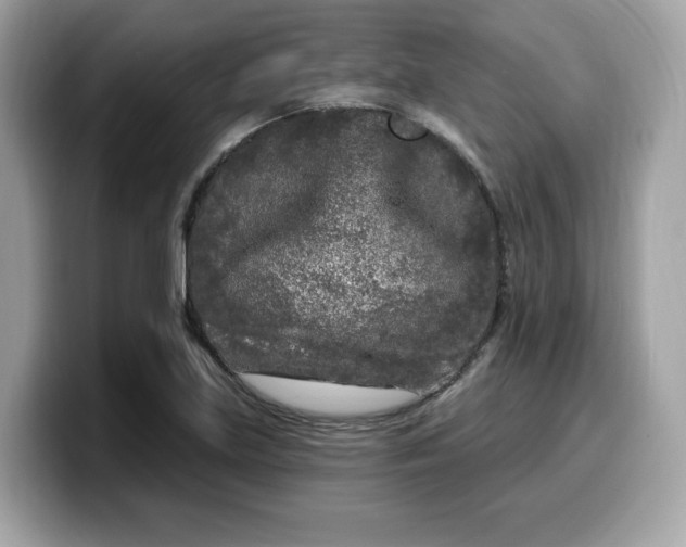 X0000099581219200805301553