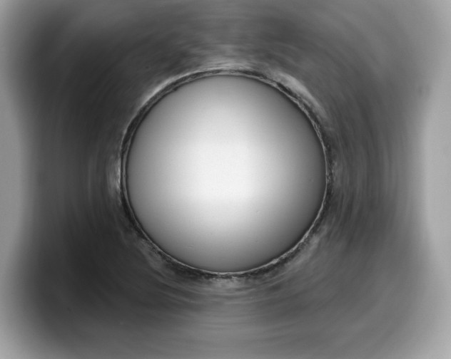 X0000099581220200805301553