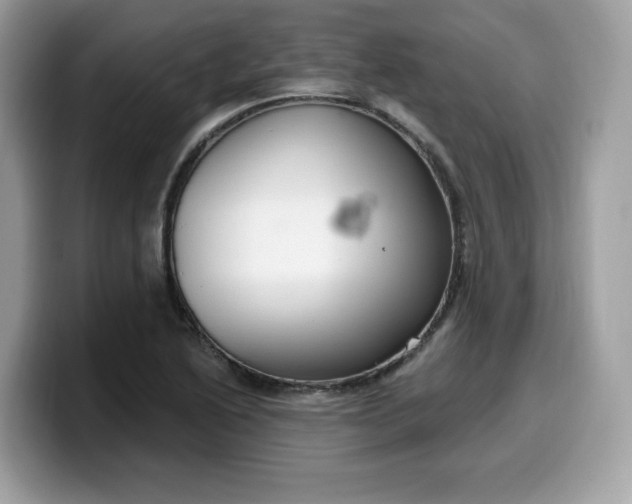 X0000099581222200805301553