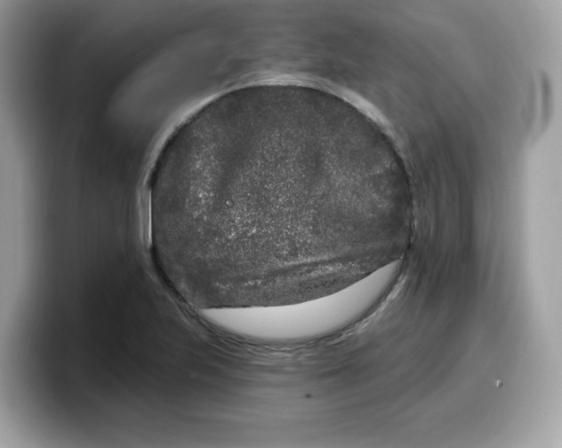 X0000099581223200805301553