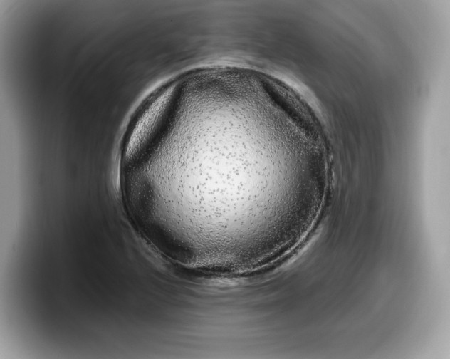 X0000099581224200805301553