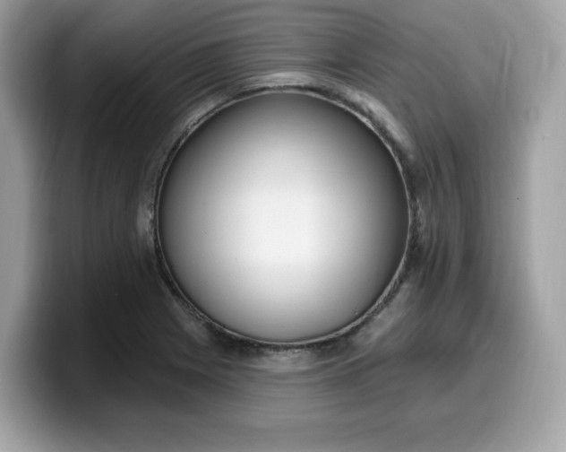 X0000099581225200805301553