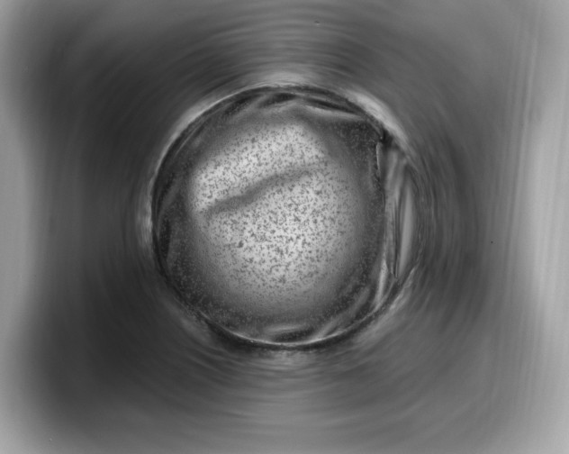 X0000099581226200805301553