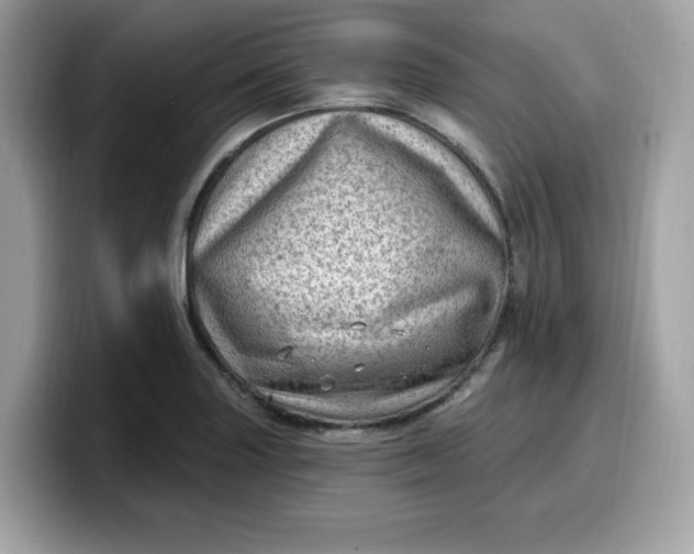 X0000099581227200805301553