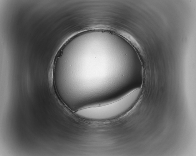 X0000099581228200805301553