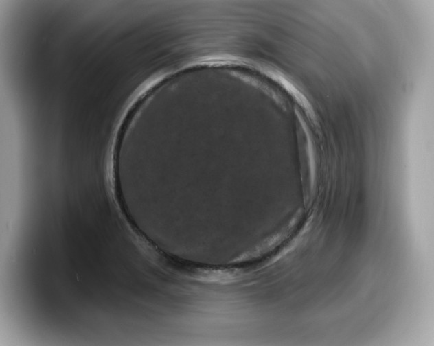 X0000099581229200805301553