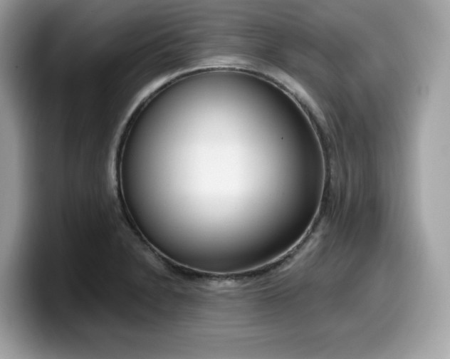 X0000099581230200805301553