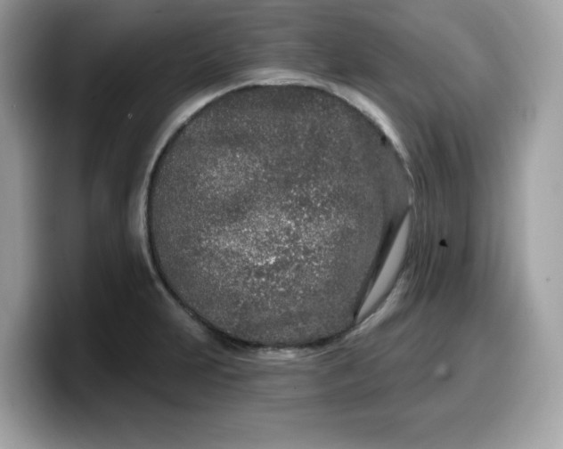 X0000099581231200805301553