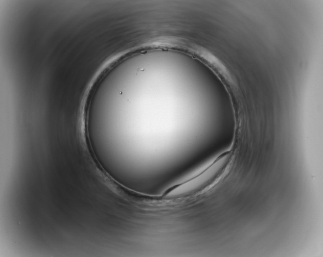 X0000099581232200805301553