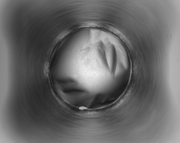 X0000099581233200805301553