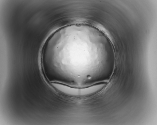 X0000099581235200805301553