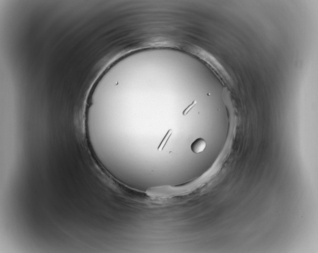 X0000099581236200805301553