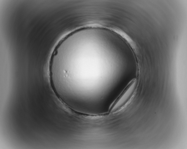 X0000099581240200805301553