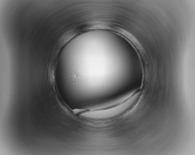 X0000099581241200805301553