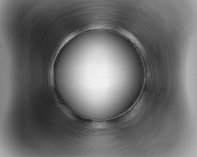 X0000099581242200805301553