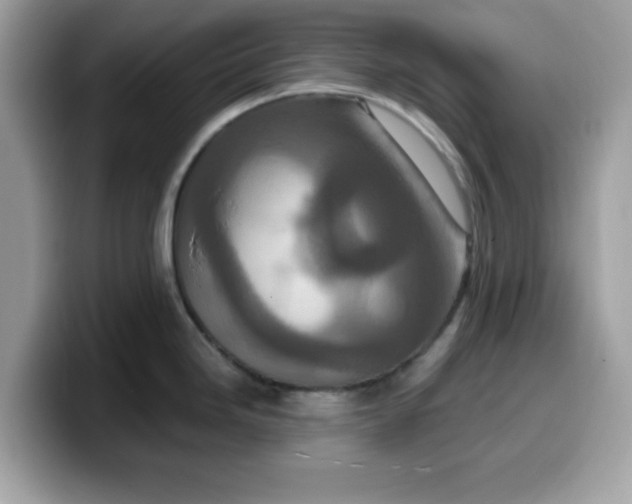 X0000099581246200805301553