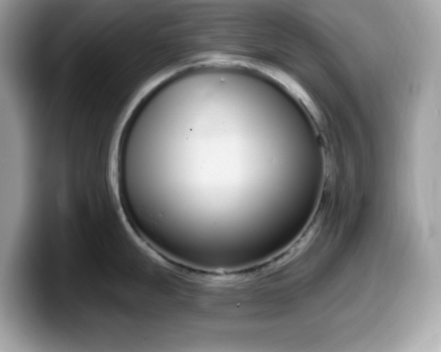 X0000099581247200805301553