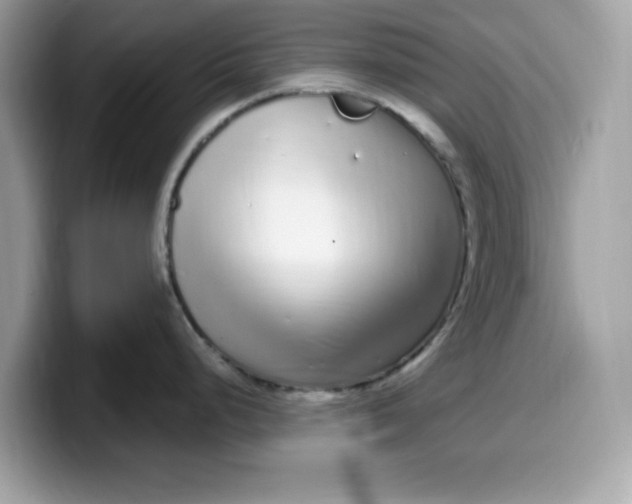 X0000099581248200805301553